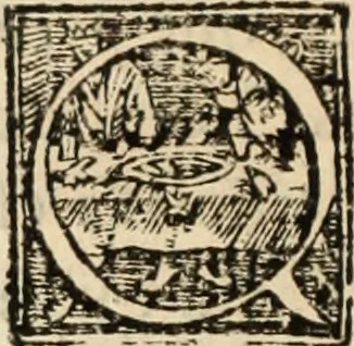 An illustration from Ethiopia oriental, e varia historia de cousas, notaveis do oriente, 1609, leaf 199