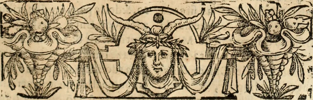 An illustration from Ethiopia oriental, e varia historia de cousas, notaveis do oriente, 1609, leaf 226