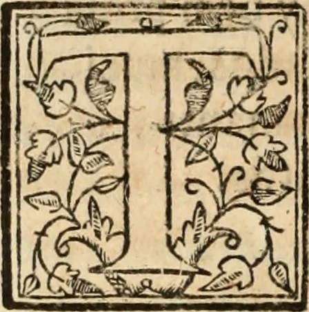 An illustration from Ethiopia oriental, e varia historia de cousas, notaveis do oriente, 1609, leaf 227