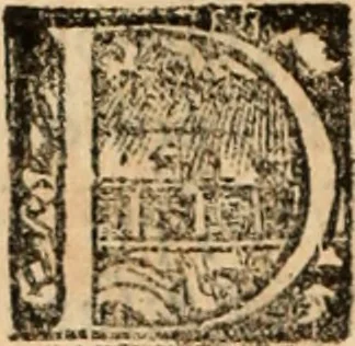 An illustration from Ethiopia oriental, e varia historia de cousas, notaveis do oriente, 1609, leaf 235