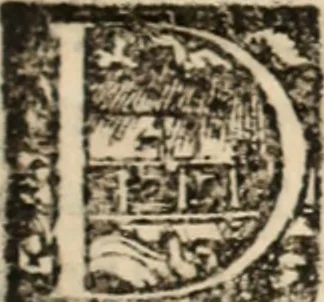 An illustration from Ethiopia oriental, e varia historia de cousas, notaveis do oriente, 1609, leaf 26