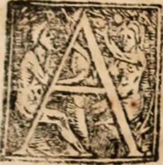 An illustration from Ethiopia oriental, e varia historia de cousas, notaveis do oriente, 1609, leaf 292