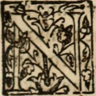 An illustration from Ethiopia oriental, e varia historia de cousas, notaveis do oriente, 1609, leaf 294