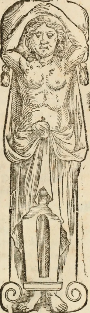 An illustration from Ethiopia oriental, e varia historia de cousas, notaveis do oriente, 1609, leaf 306