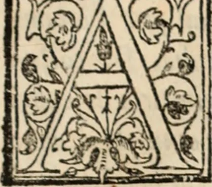 An illustration from Ethiopia oriental, e varia historia de cousas, notaveis do oriente, 1609, leaf 308