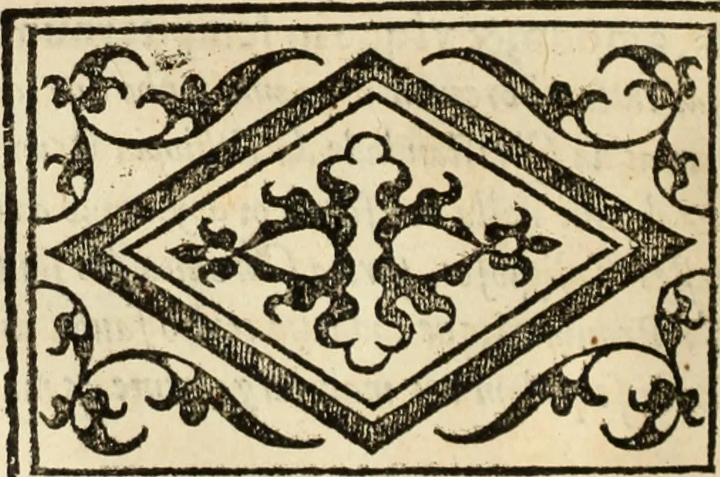 An illustration from Ethiopia oriental, e varia historia de cousas, notaveis do oriente, 1609, leaf 309