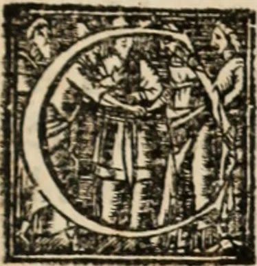 An illustration from Ethiopia oriental, e varia historia de cousas, notaveis do oriente, 1609, leaf 324