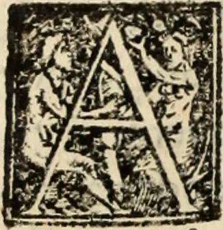 An illustration from Ethiopia oriental, e varia historia de cousas, notaveis do oriente, 1609, leaf 331
