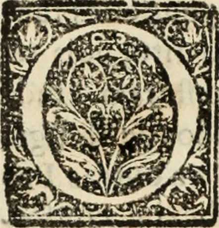An illustration from Ethiopia oriental, e varia historia de cousas, notaveis do oriente, 1609, leaf 351