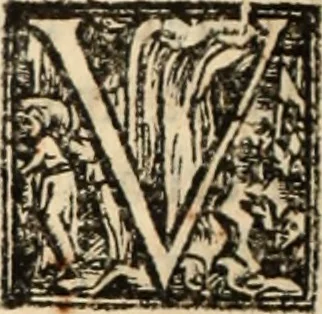An illustration from Ethiopia oriental, e varia historia de cousas, notaveis do oriente, 1609, leaf 353