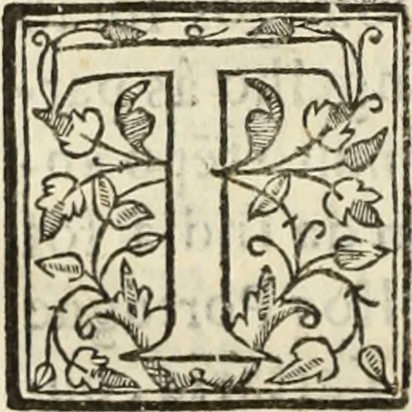 An illustration from Ethiopia oriental, e varia historia de cousas, notaveis do oriente, 1609, leaf 357