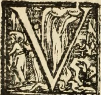 An illustration from Ethiopia oriental, e varia historia de cousas, notaveis do oriente, 1609, leaf 363