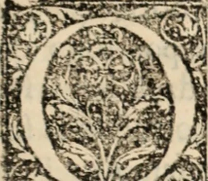An illustration from Ethiopia oriental, e varia historia de cousas, notaveis do oriente, 1609, leaf 38