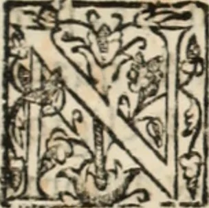 An illustration from Ethiopia oriental, e varia historia de cousas, notaveis do oriente, 1609, leaf 380