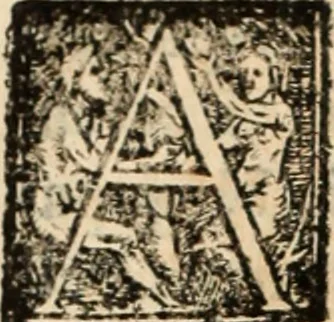 An illustration from Ethiopia oriental, e varia historia de cousas, notaveis do oriente, 1609, leaf 409
