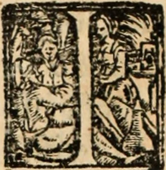 An illustration from Ethiopia oriental, e varia historia de cousas, notaveis do oriente, 1609, leaf 411