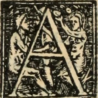 An illustration from Ethiopia oriental, e varia historia de cousas, notaveis do oriente, 1609, leaf 417