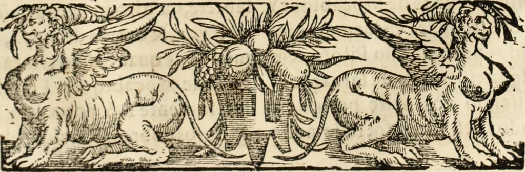 An illustration from Ethiopia oriental, e varia historia de cousas, notaveis do oriente, 1609, leaf 424