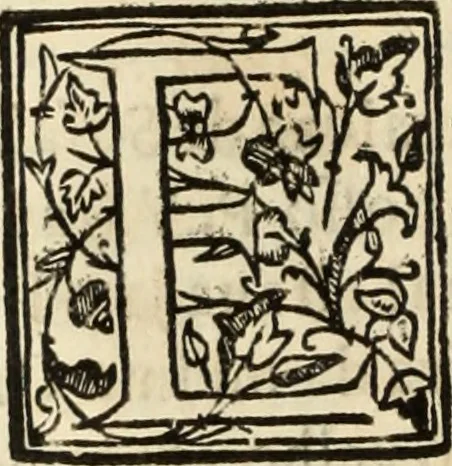 An illustration from Ethiopia oriental, e varia historia de cousas, notaveis do oriente, 1609, leaf 425