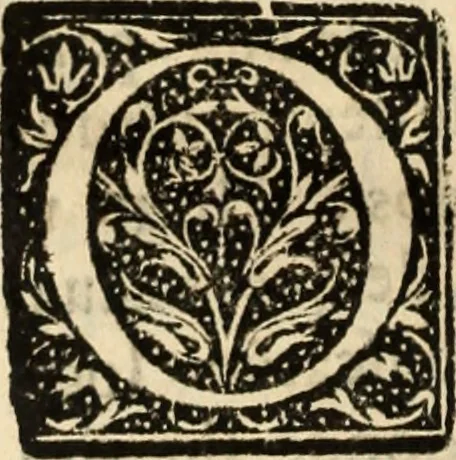 An illustration from Ethiopia oriental, e varia historia de cousas, notaveis do oriente, 1609, leaf 453