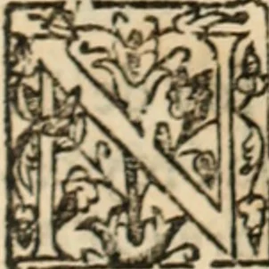 An illustration from Ethiopia oriental, e varia historia de cousas, notaveis do oriente, 1609, leaf 480