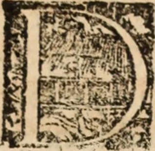 An illustration from Ethiopia oriental, e varia historia de cousas, notaveis do oriente, 1609, leaf 490