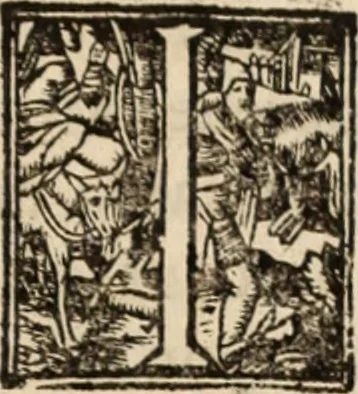 An illustration from Ethiopia oriental, e varia historia de cousas, notaveis do oriente, 1609, leaf 494