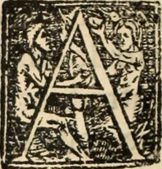 An illustration from Ethiopia oriental, e varia historia de cousas, notaveis do oriente, 1609, leaf 497