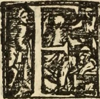 An illustration from Ethiopia oriental, e varia historia de cousas, notaveis do oriente, 1609, leaf 513