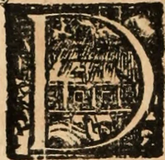 An illustration from Ethiopia oriental, e varia historia de cousas, notaveis do oriente, 1609, leaf 529
