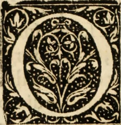An illustration from Ethiopia oriental, e varia historia de cousas, notaveis do oriente, 1609, leaf 67