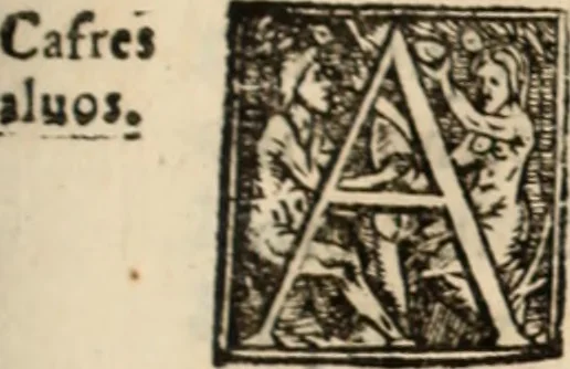 An illustration from Ethiopia oriental, e varia historia de cousas, notaveis do oriente, 1609, leaf 70