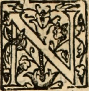 An illustration from Ethiopia oriental, e varia historia de cousas, notaveis do oriente, 1609, leaf 81