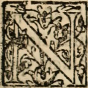 An illustration from Ethiopia oriental, e varia historia de cousas, notaveis do oriente, 1609, leaf 98