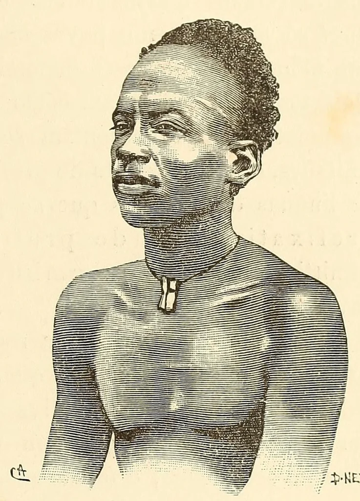 An illustration from Ethnographia e historia tradicional dos povos da Lunda, 1890, leaf 185