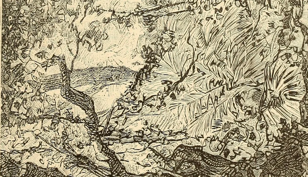 An illustration from Ethnographia e historia tradicional dos povos da Lunda, 1890, leaf 73