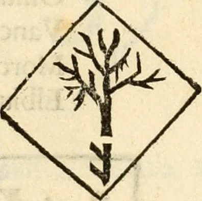 An illustration from Ethruscarum antiquitatum fragmenta : quibus vrbis Romae, aliarumque gentium primordia, mores, & res gestae indicantur, 1637, leaf 205