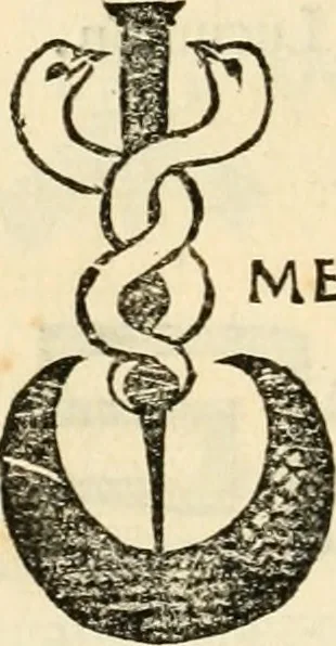 An illustration from Ethruscarum antiquitatum fragmenta : quibus vrbis Romae, aliarumque gentium primordia, mores, & res gestae indicantur, 1637, leaf 225