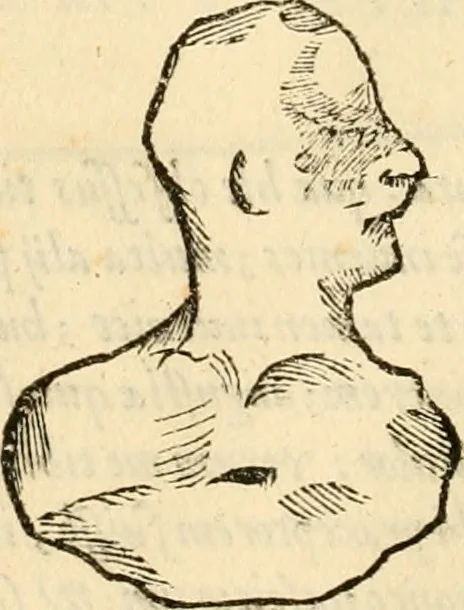 An illustration from Ethruscarum antiquitatum fragmenta : quibus vrbis Romae, aliarumque gentium primordia, mores, & res gestae indicantur, 1637, leaf 295