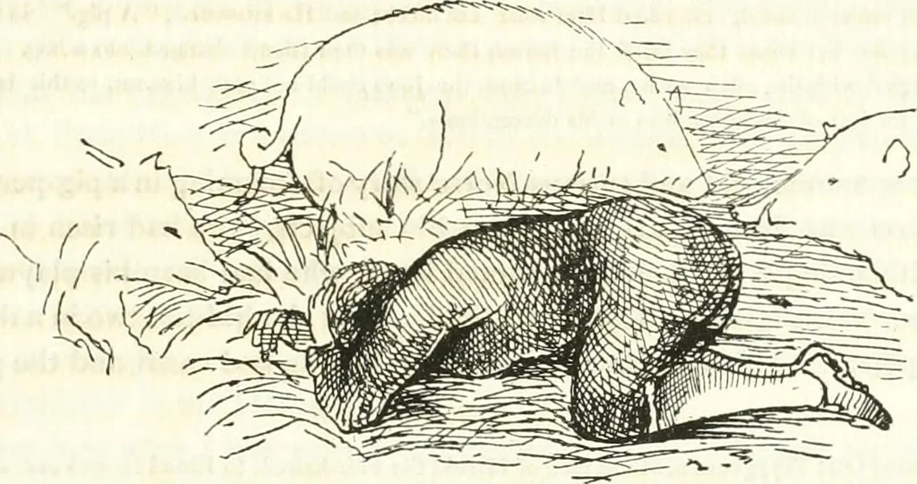 An illustration from Etruscan Roman remains in popular tradition, 1892, leaf 269