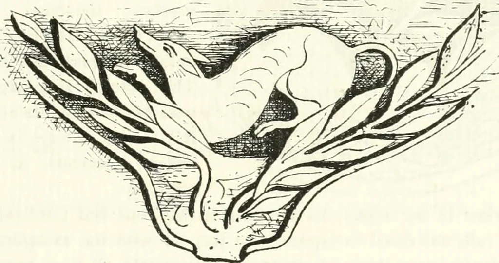 An illustration from Etruscan Roman remains in popular tradition, 1892, leaf 87