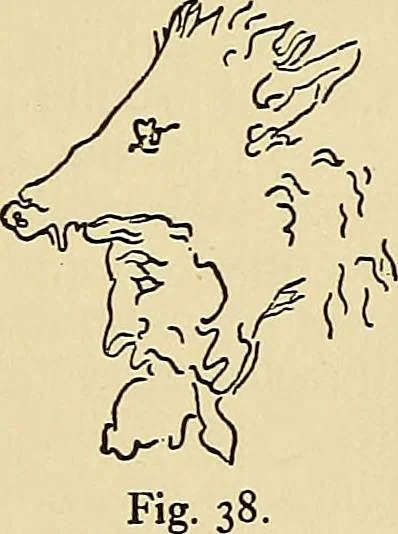 An illustration from Etruscan tomb paintings, Their subjects and significance, 1922, leaf 103