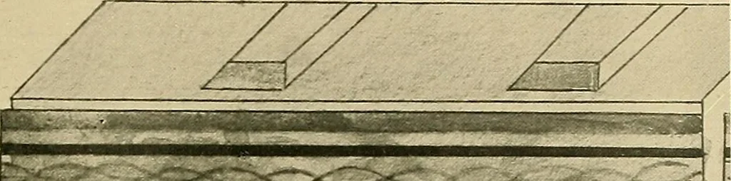 An illustration from Etruscan tomb paintings, Their subjects and significance, 1922, leaf 77