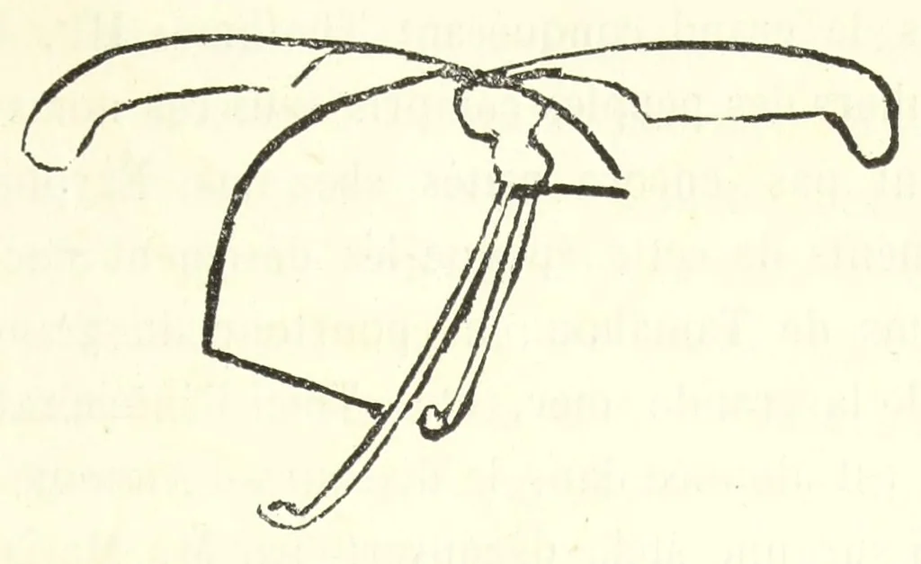 An illustration from Études sur l'antiquité historique d'après les sources egyptiennes et les monuments réputés préhistoriques, 1872, leaf 189