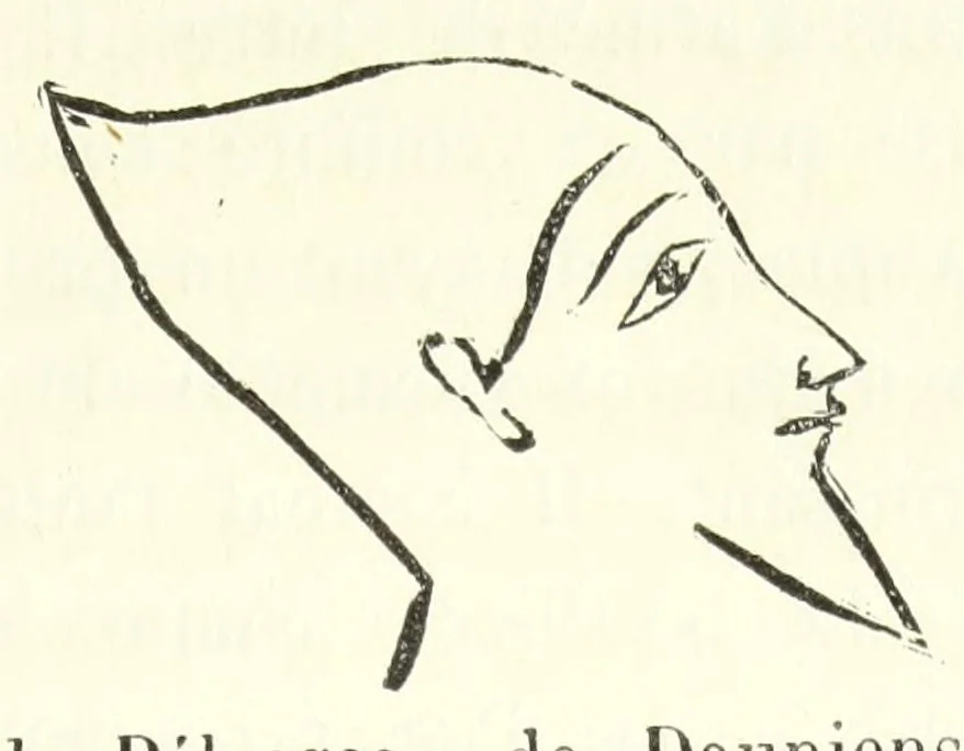 An illustration from Études sur l'antiquité historique d'après les sources egyptiennes et les monuments réputés préhistoriques, 1872, leaf 309