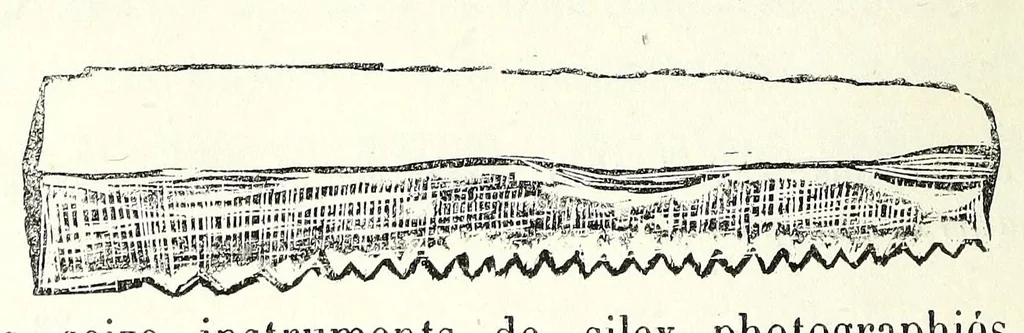 An illustration from Études sur l'antiquité historique d'après les sources egyptiennes et les monuments réputés préhistoriques, 1872, leaf 348