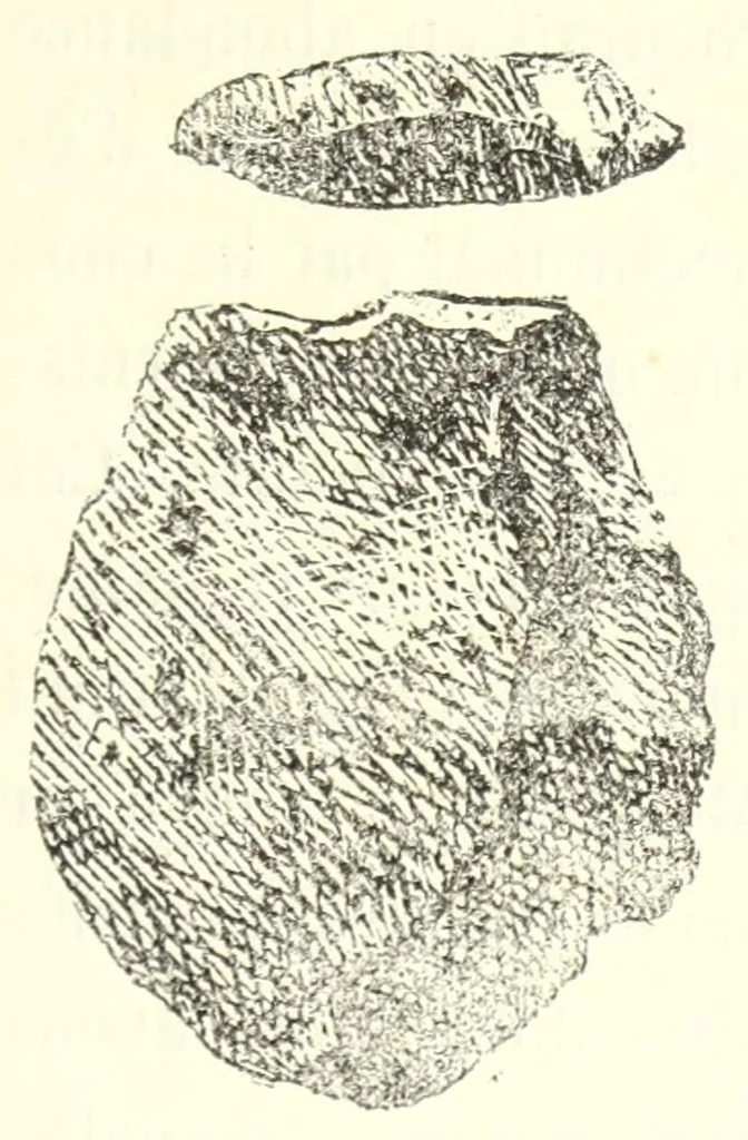 An illustration from Études sur l'antiquité historique d'après les sources egyptiennes et les monuments réputés préhistoriques, 1872, leaf 355