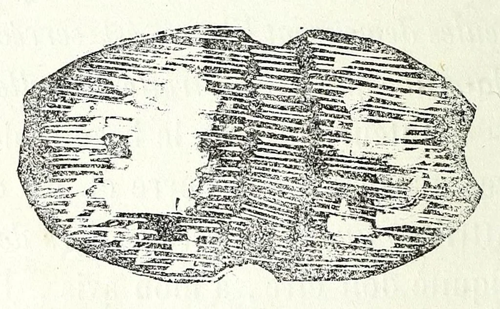 An illustration from Études sur l'antiquité historique d'après les sources egyptiennes et les monuments réputés préhistoriques, 1872, leaf 374