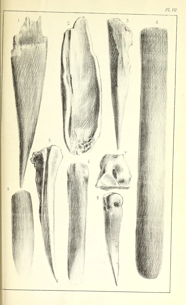 An illustration from Études sur l'antiquité historique d'après les sources egyptiennes et les monuments réputés préhistoriques, 1872, leaf 545