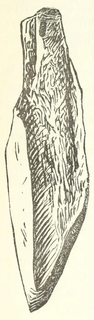 An illustration from Études sur l'antiquité historique d'après les sources egyptiennes et les monuments réputés préhistoriques, 1872, leaf 547